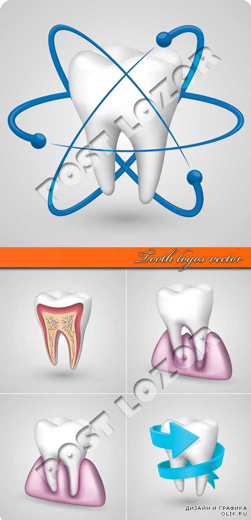 Зуб логотип | Tooth logos vector