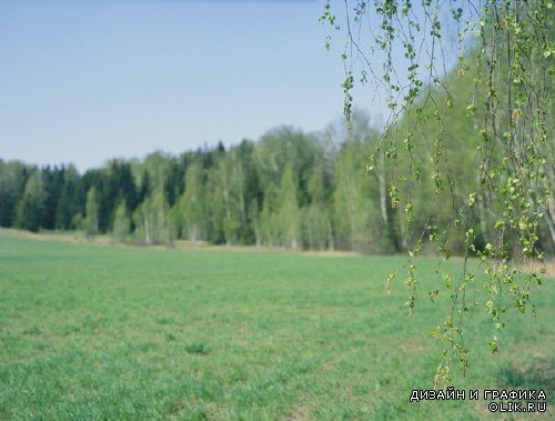 Природа: поля и луга (подборка изображений)