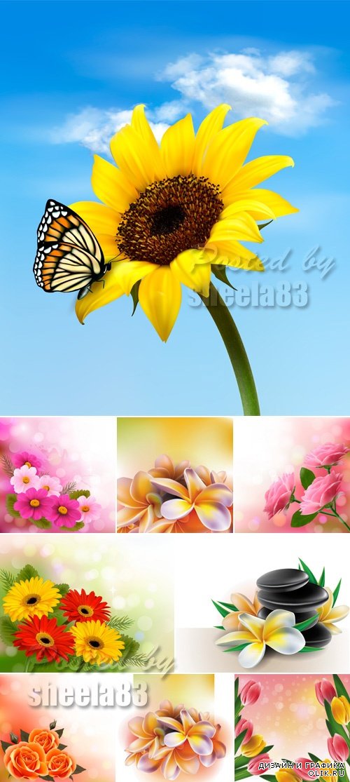 Spring & Summer Flowers Vector