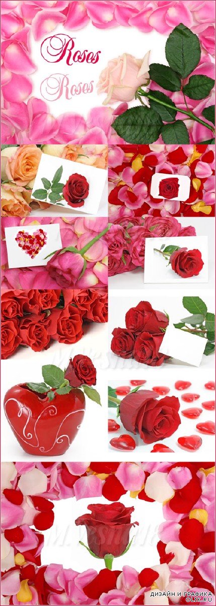 Рамки и карточки с розами, растровый клипарт / The scope and cards with roses, raster clipart