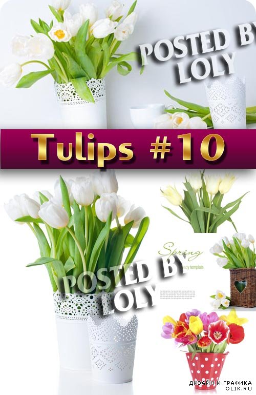Цветы. Тюльпаны #10 - Растровый клипарт