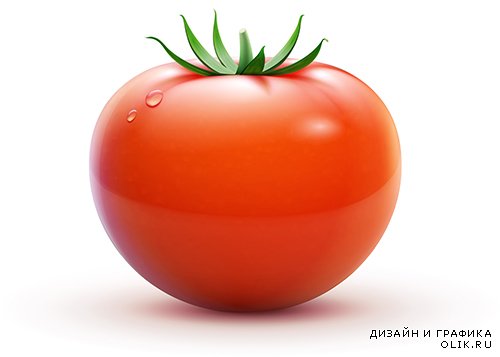 Векторный клипарт - Кетчуп, томаты