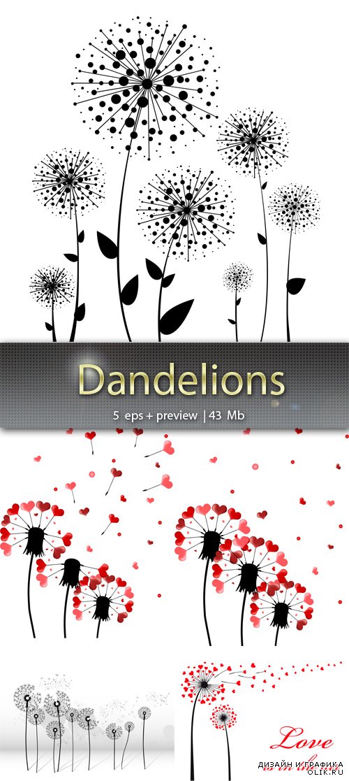 Одуванчики  - Dandelions