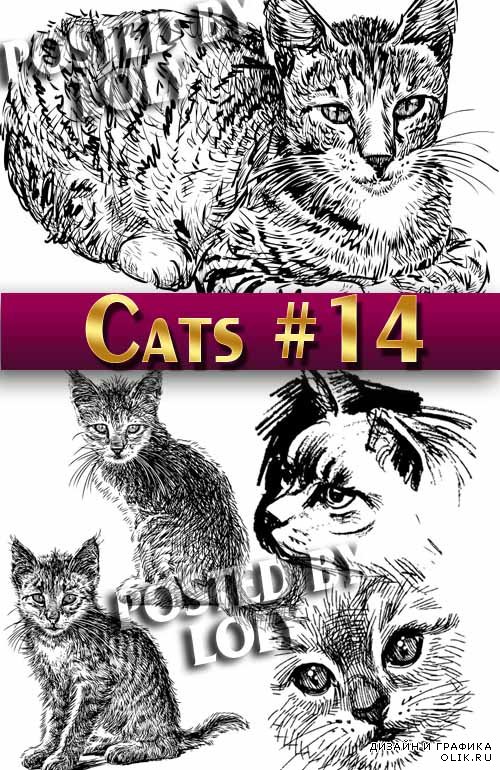Чудесные котята #14 - Векторный клипарт