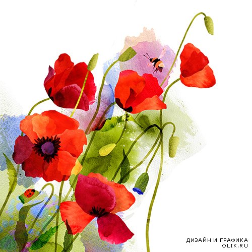 Растровый клипарт - Нарисованные цветы