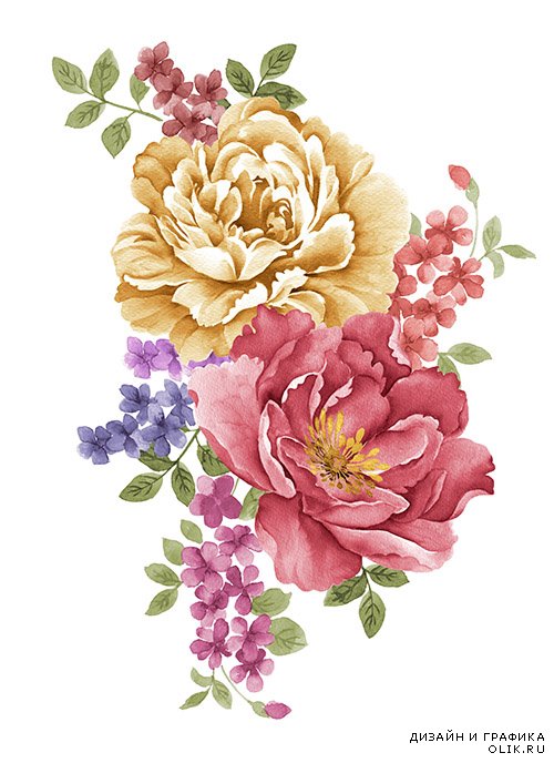 Растровый клипарт - Нарисованные цветы