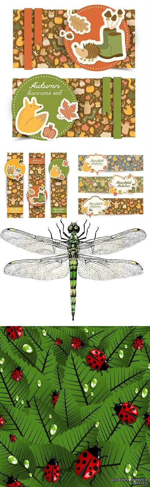 Vector - Dragonfly backgrounds