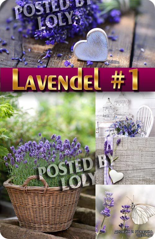 Цветы Лаванды #1 - Растровый клипарт
