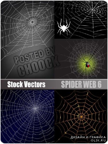 Spider web 6 - векторный клипарт