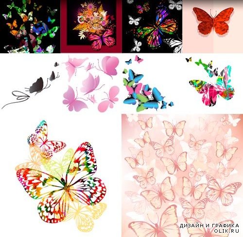Butterfly design - Дизайн бабочек