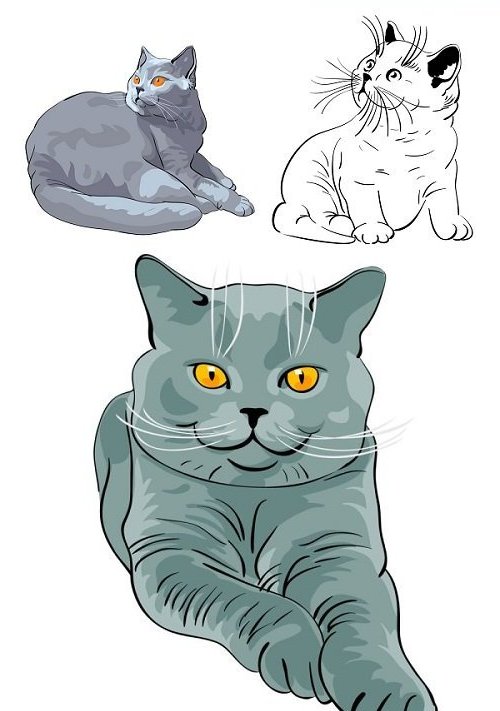 Милые рисованные кошки в векторном формате