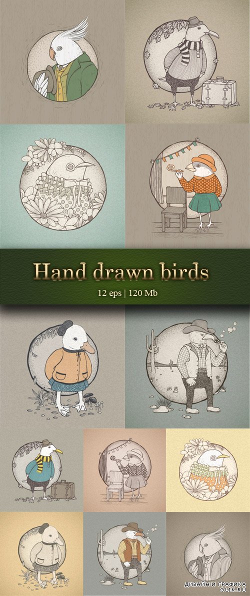 Hand drawn retro style birds