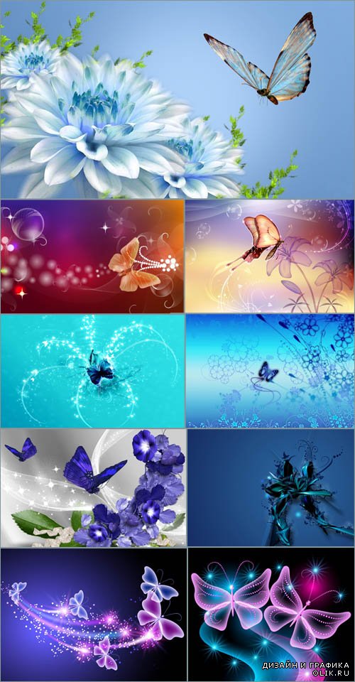 Фоны для дизайна - Цветы и бабочки
