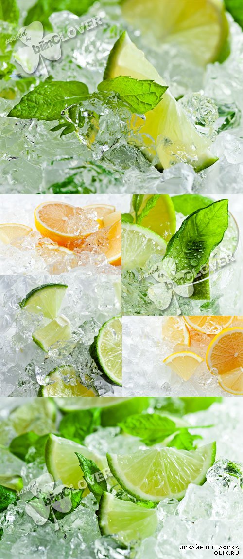 Lemon and lime with ice 0578