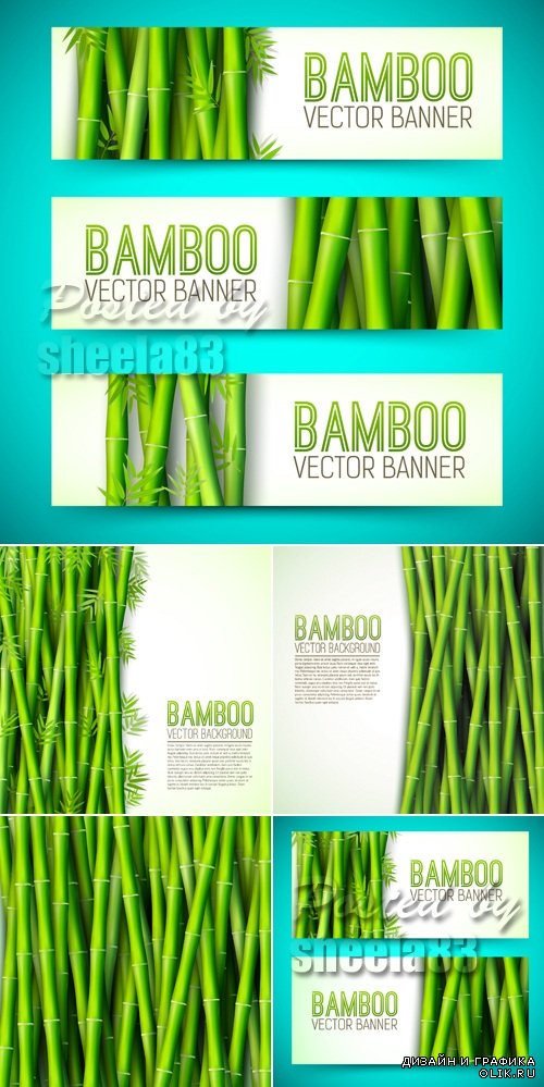 Bamboo Backgrounds Vector