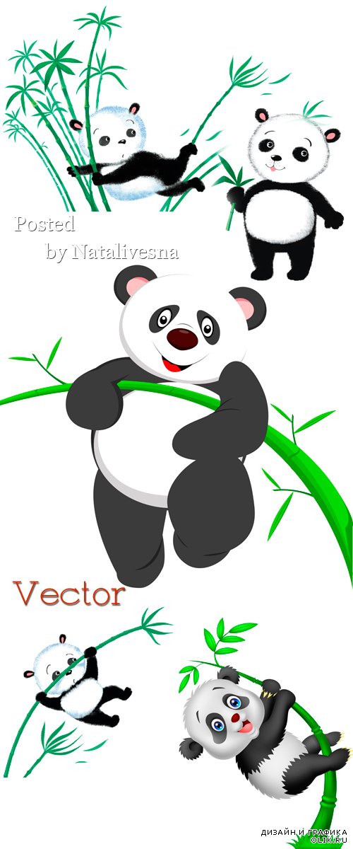 Панда с бамбуковой веткой  в  Векторе  
