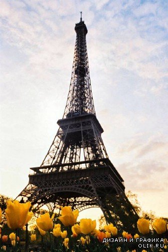 Большая подборка фото Эйфелевой башни