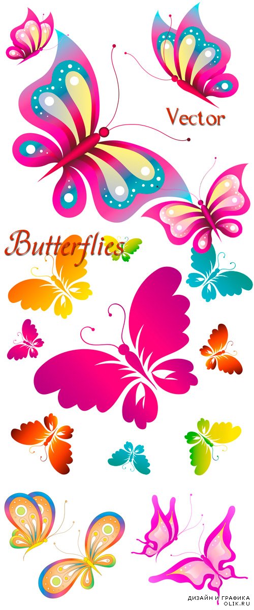 Разноцветные, красивые бабочки в векторе