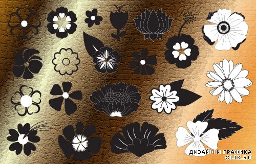 Silhouettes of flowers and decorative elements vector