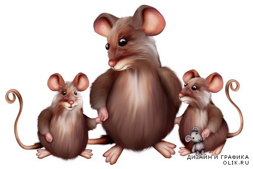 Симпатичные грызуны - мышки и крыски на прозрачном фоне