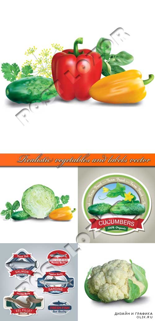 Реалистичные овощи и этикетки | Realistic vegetables and labels vector
