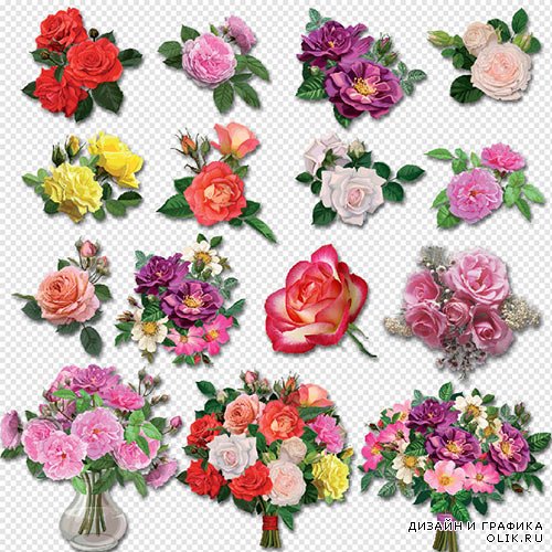 Клипарт- розы разных сортов и разного цвета на прозрачном фоне