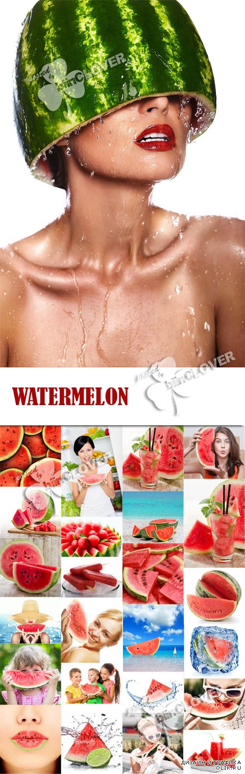 Watermelon 0589