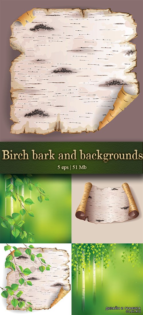 Birch bark and backgrounds - Берёзовые фоны и береста