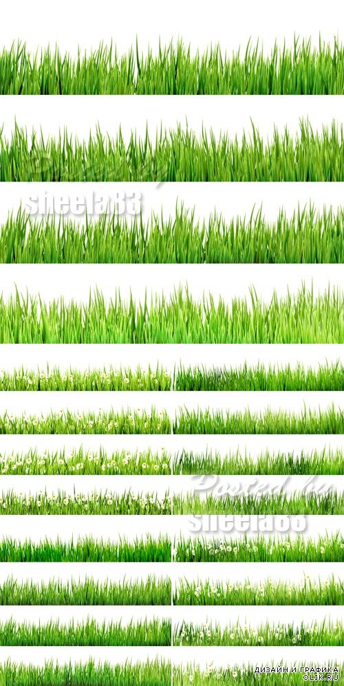 Green Grass Borders Vector 2