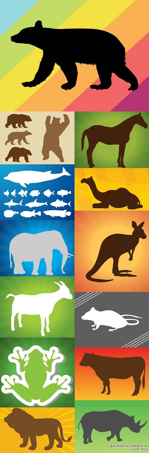 Vector Different Wild Animals Mammals