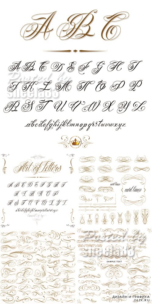 Calligraphic Vintage Design Elements Vector