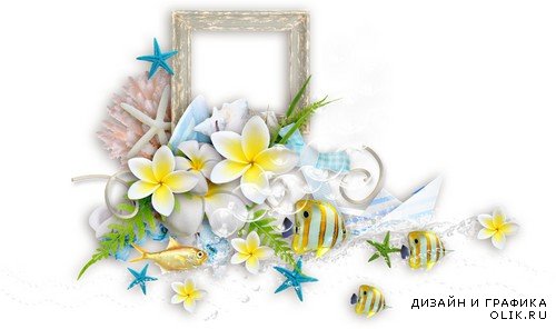 Плюмерия - цветы и кластеры на прозрачном фоне