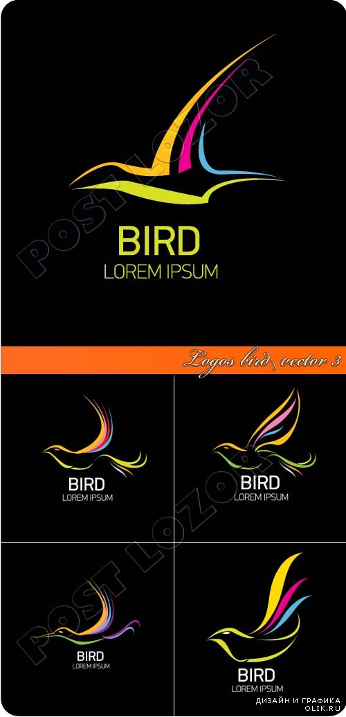 Логотип птица | Logos bird vector 3