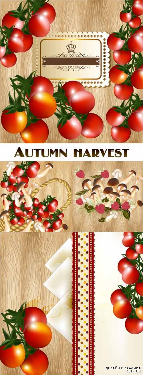 Autumn harvest on a wooden background