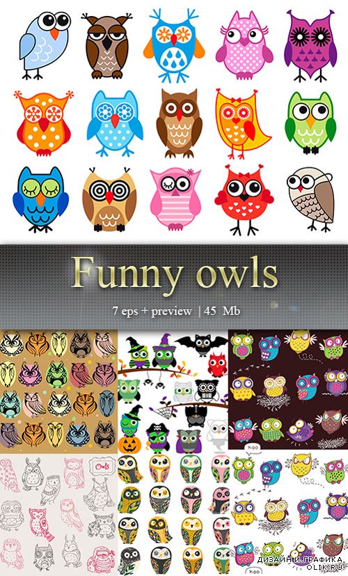 Забавные совы - Funny owls