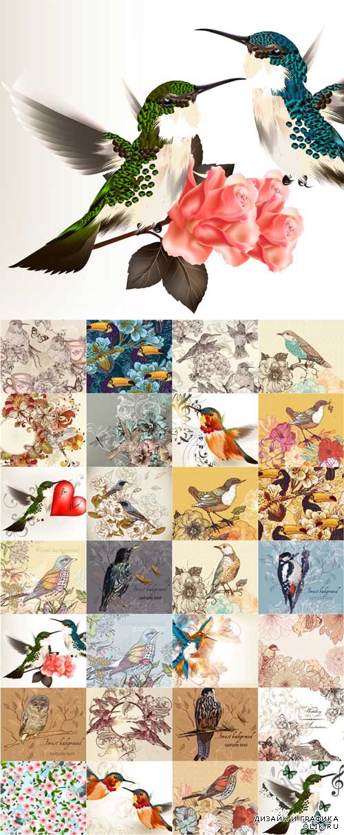 Flower and birds background art vector