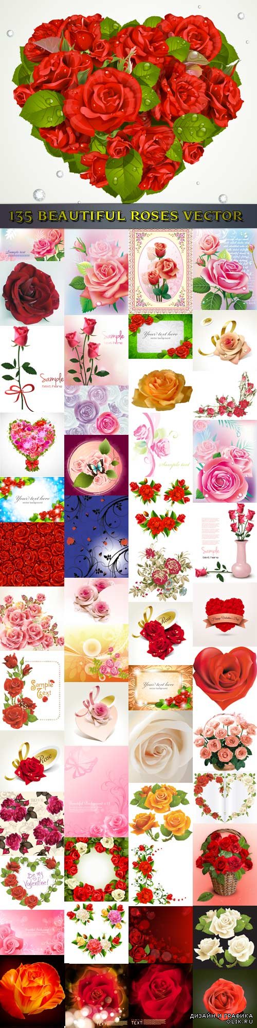 Большая коллекция прекрасных векторных роз