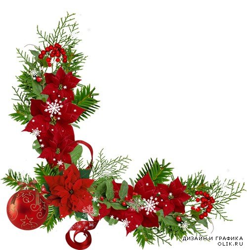 Цветы Рождества - рождественский декор на прозрачном фоне