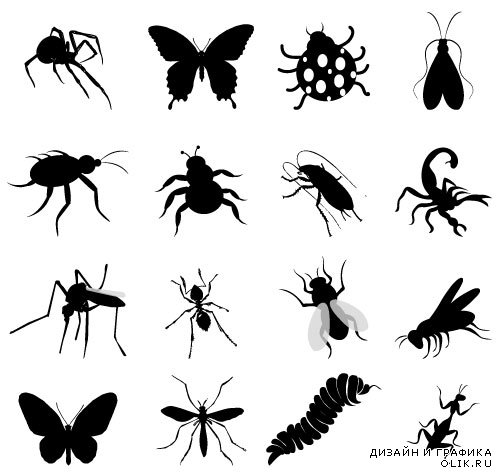 Clipart Silhouettes of butterflies (Vector)