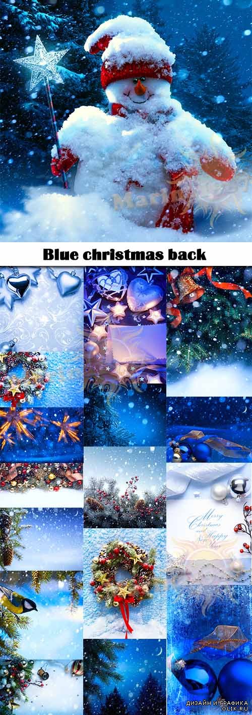 Blue christmas back