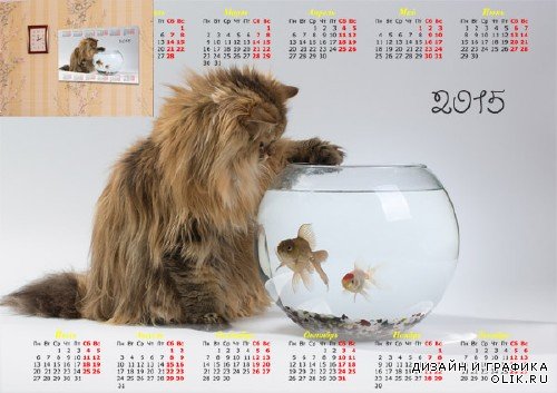 Календарь 2015 - Котенок и рыбки 