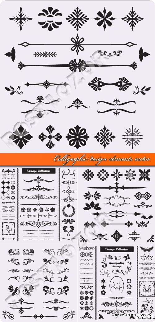 Calligraphic design elements vector