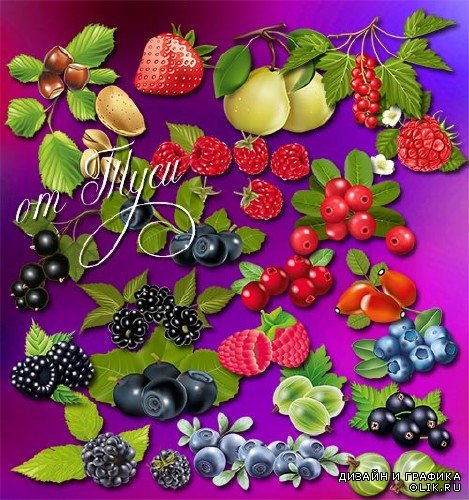 Клипарт - У каждой ягоды свой вкус и аромат 