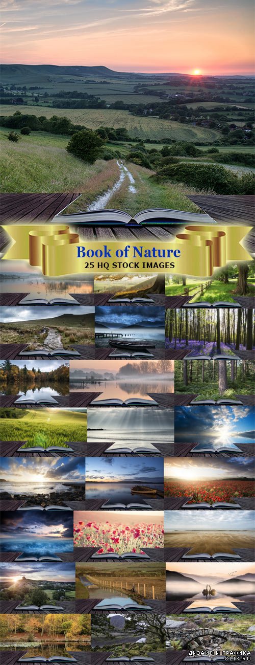 Качественные фотографии пейзажей природы с книгой