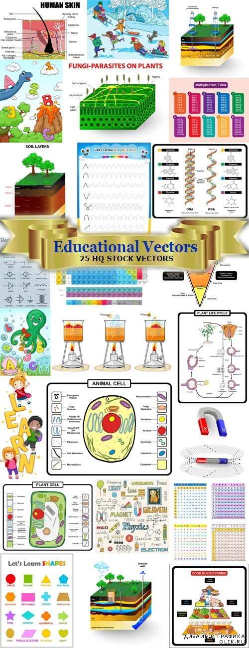Сборник учебных плакатов и прочая образовательная графика в векторе