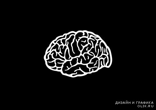 Brain Мозг 13