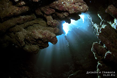 Растровый клипарт - Коралловые рифы