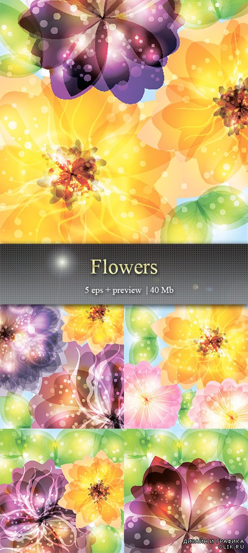 Цветы  - Flowers