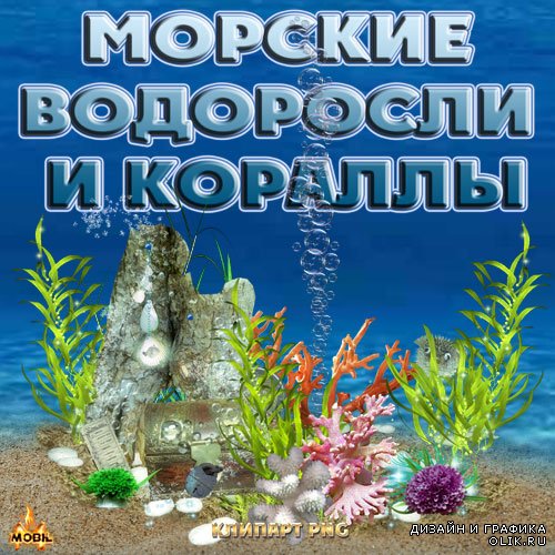 Клипарт PNG - Морские водоросли и кораллы