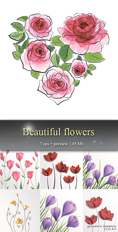 Красивые цветы – Beautiful flowers